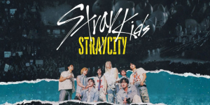cómo rentar un box para Stray Kids